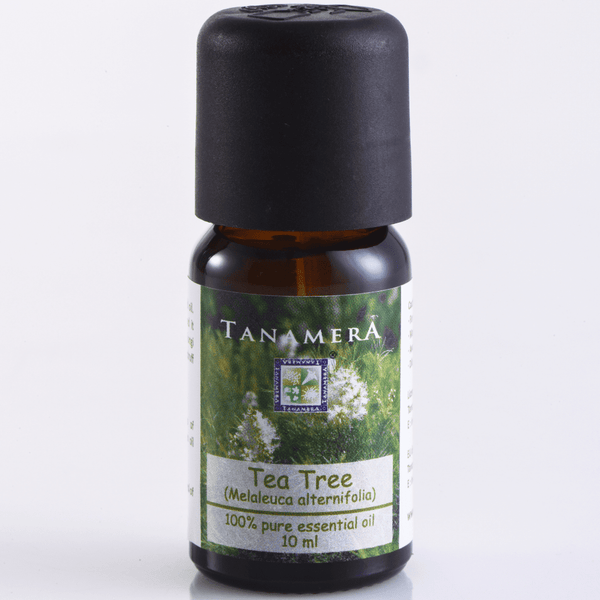 Essential Oil Tea Tree